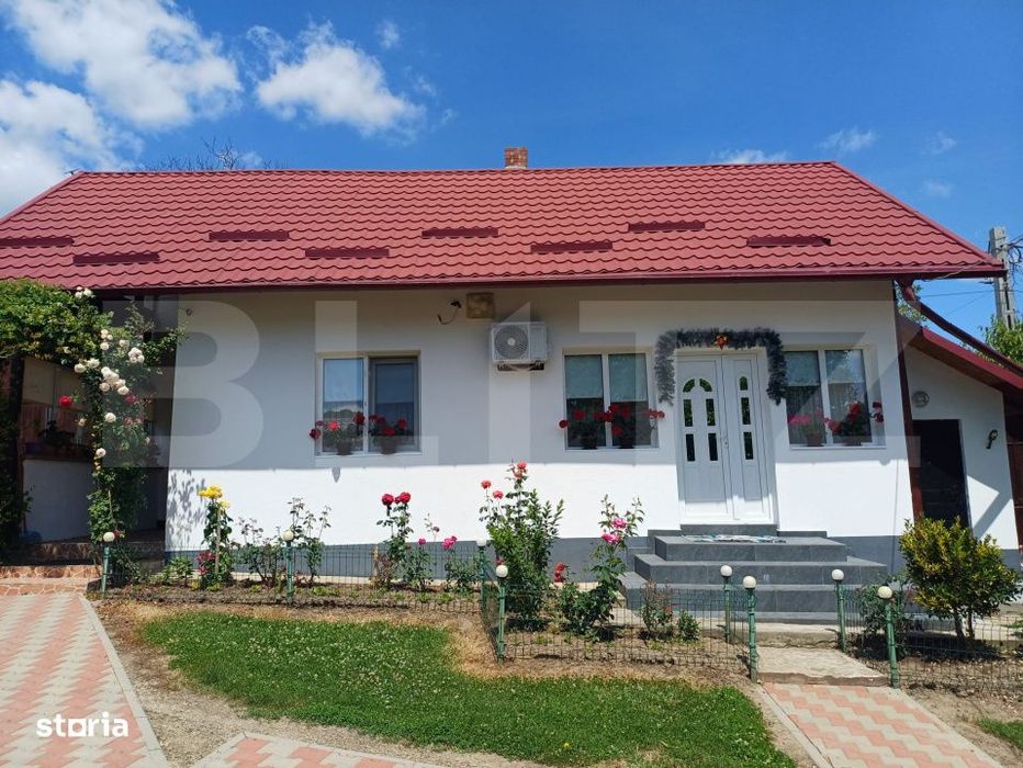 Casa de vanzare cu anexe, 35 ari teren, Adancata