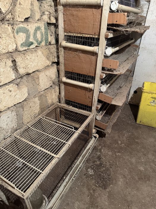 Бөдене клетка сатылады