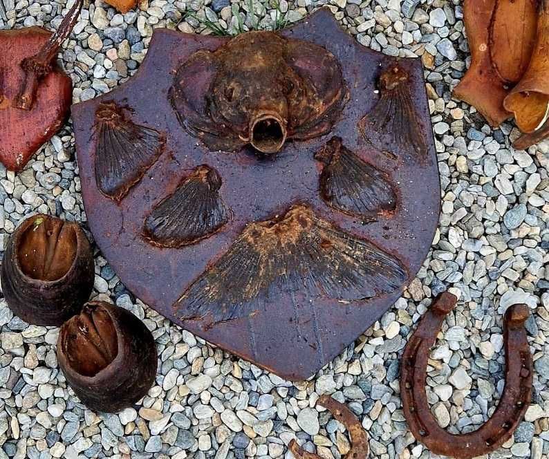 Trofee potcoave pesti