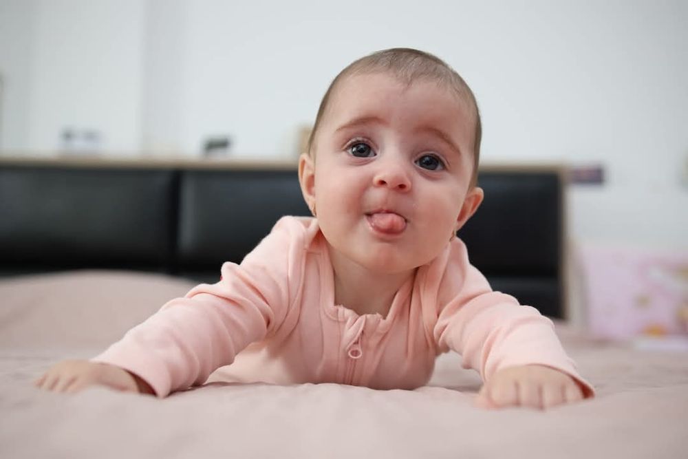 Video & Foto Profesionale