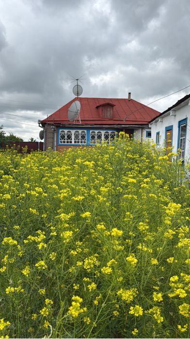 Продам дом с Аулиеколь