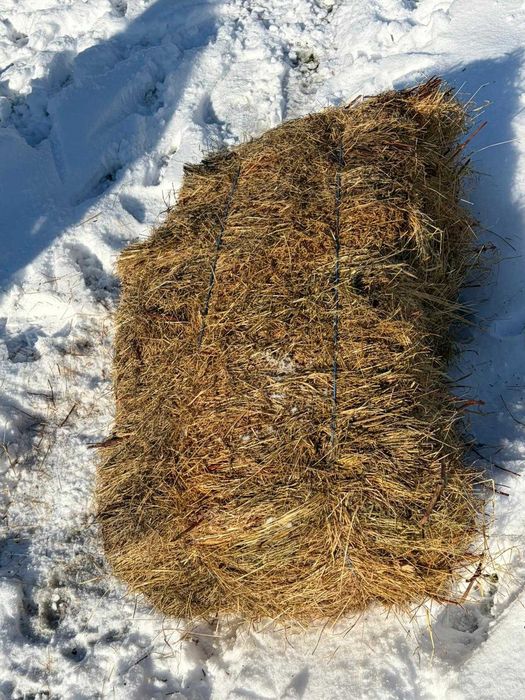 Vind baloți de trifoi dreptunghiulari