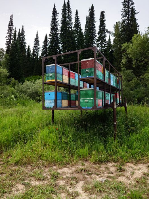 Мёд натуральный с пасеки.