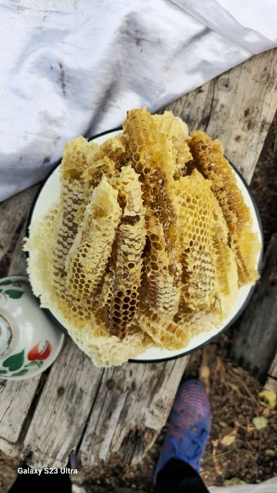 Haqiqiy togʻ asali. 100% Чистый горный мед 100%