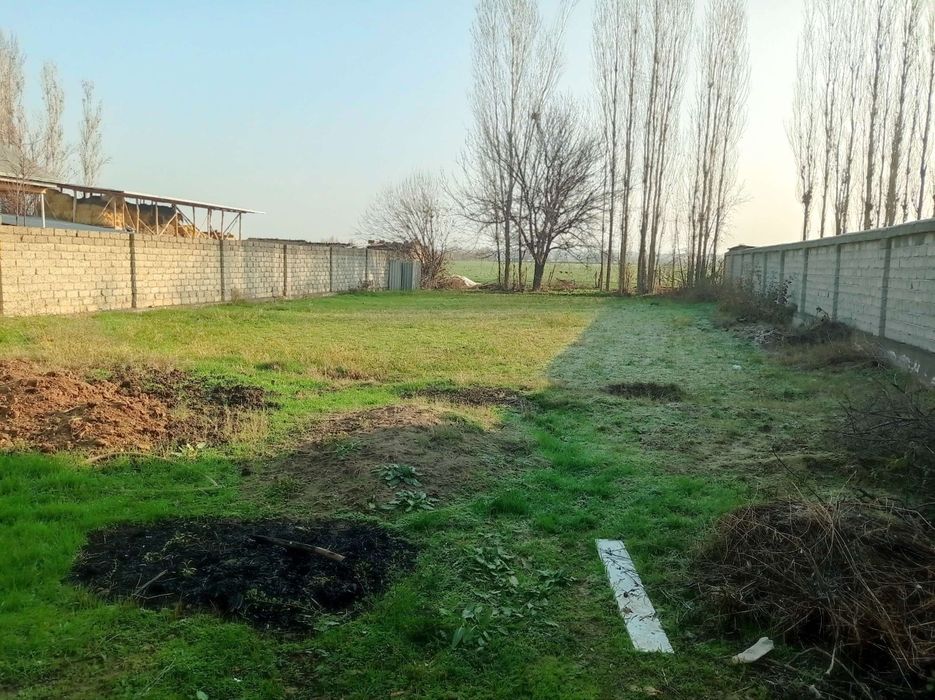 Xonadonimiz kochani ortasida