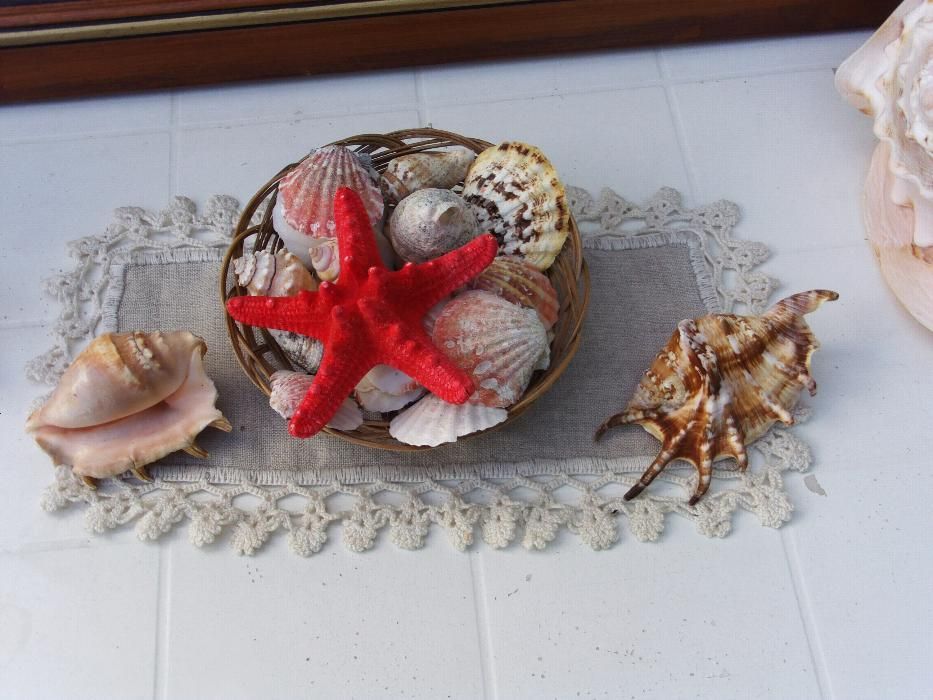 Екзотичен морски кът