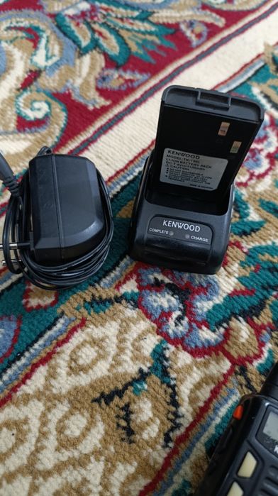 Продам Пацыя 4штуки