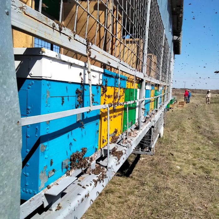 Продам пчелопавильон комплект!