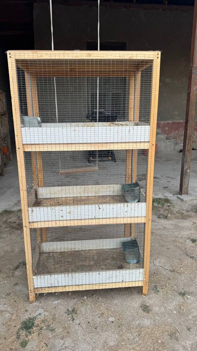 Қуён ини.      .