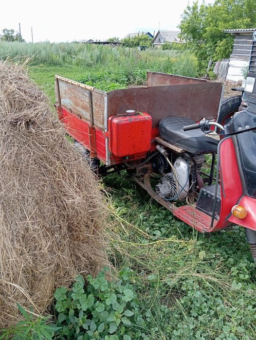 Продам муровей .