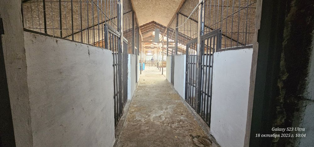 Продам животноводческую базу