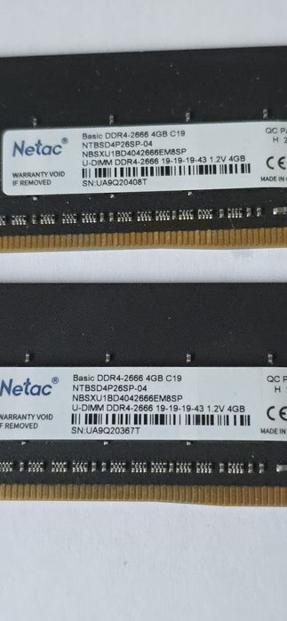 Ram Natec Micron Kit 8gb DDr4 2666 Cl19