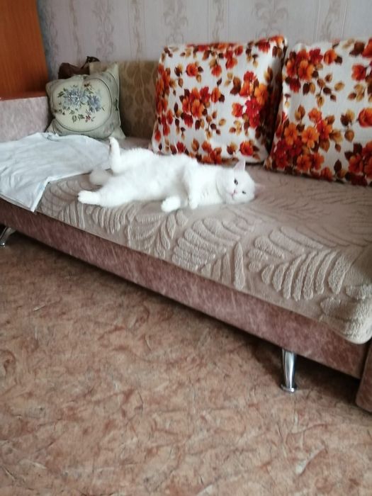 В самые добрые ручки