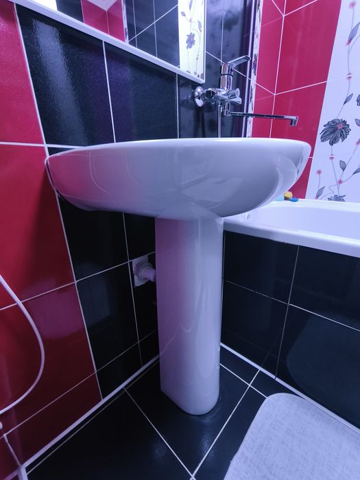 Раковина тюльпан