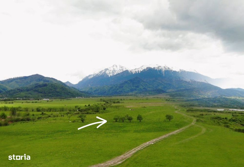 Teren 10.000 mp între Râșnov și Bran – vedere spectaculoasă Bucegi