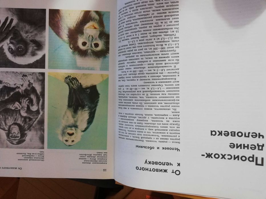 Энциклопедия детская