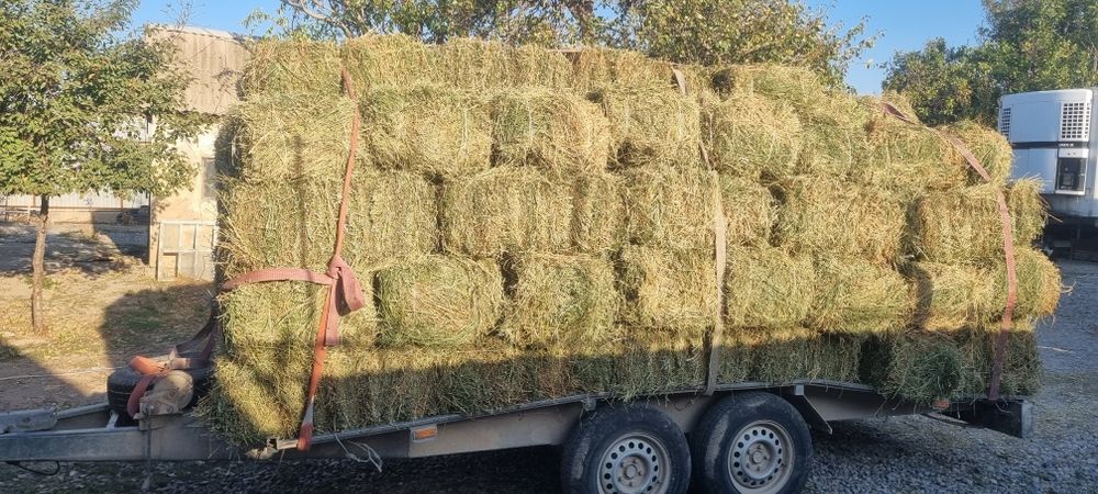 Жонышка люцерна прес