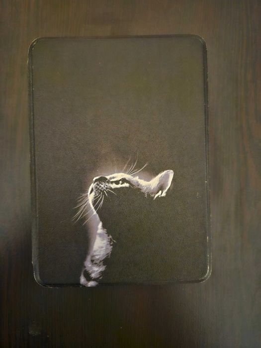 Amazon Kindle 10th gen