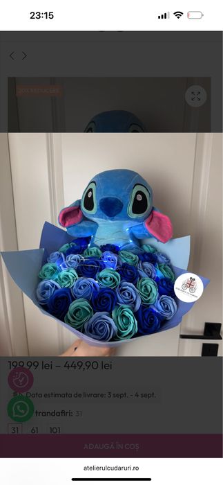 Buchete cu stitch | Livrare oriunde