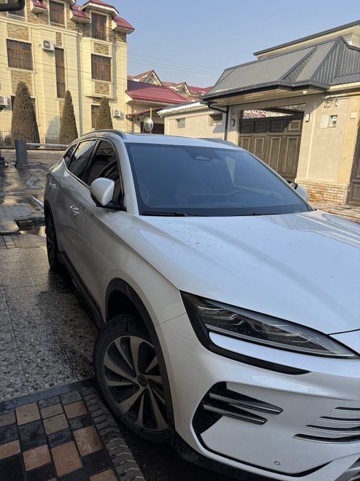 Byd chempion 150 full