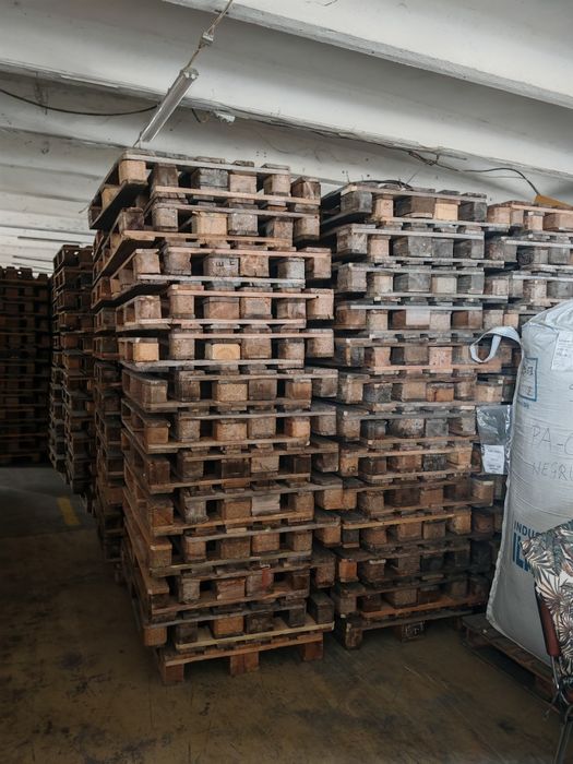 Vand europaleti cal negru