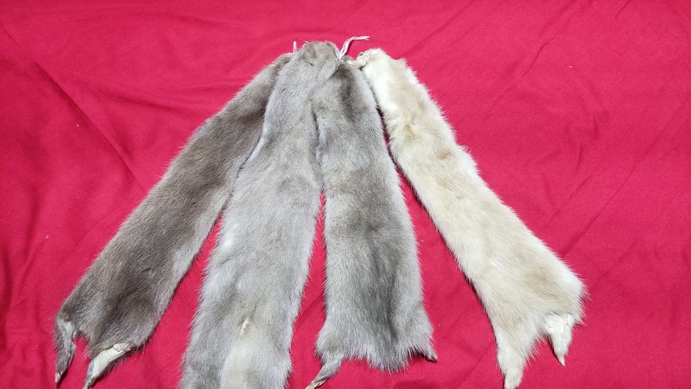 Шкурки норки есть 10шт