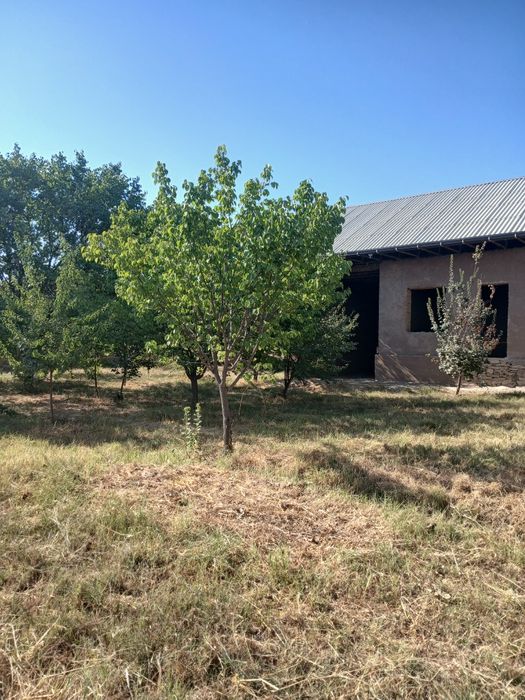 Uy sotiladi Sharof Rashidov tumani maydoni 9.5