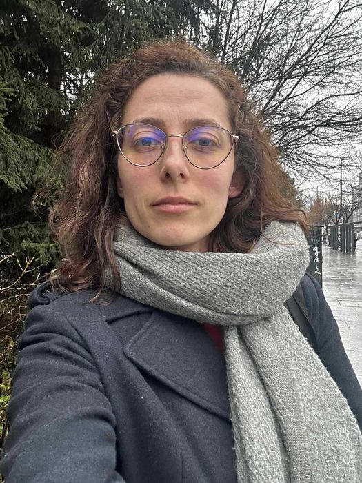 MEDITAȚII LA LIMBA ROMÂNĂ, Cluj-Napoca, Mărăști, 120 lei