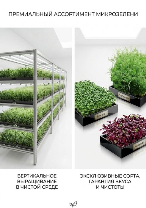 Микрозелень в Актобе для украшения блюд