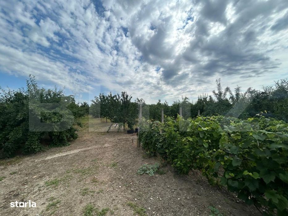 Teren | Crangurile De Jos | 6796 Mp | Intravilan |