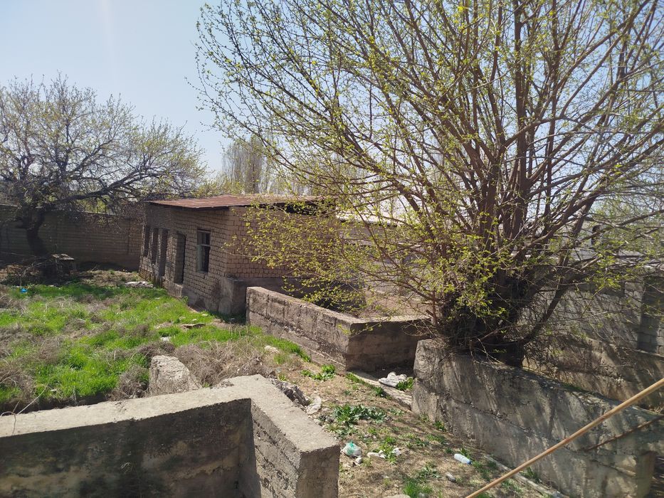 Nazarbek tarnov 5 soʻtix