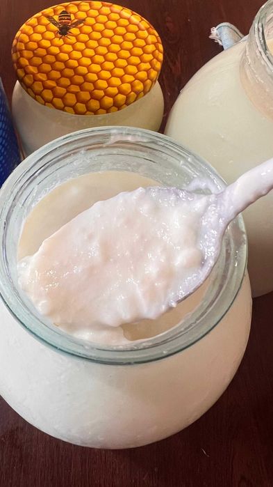 Табиғи сиыр катығы