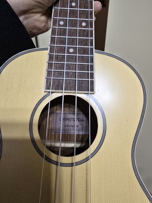 Ukulele Концертно