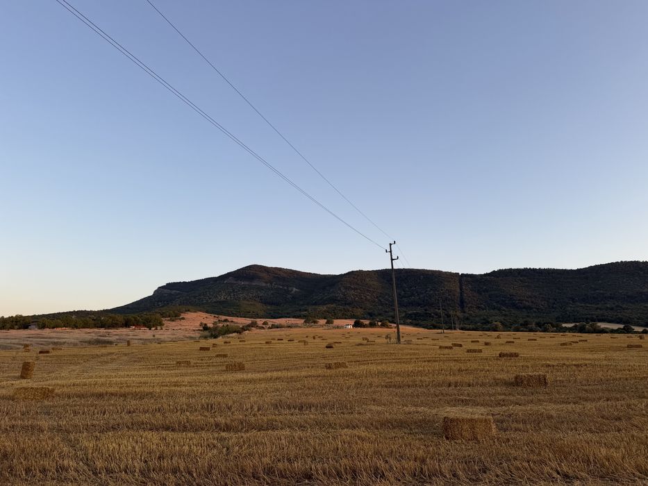 Продавама бали ливадно сено и овесена слама