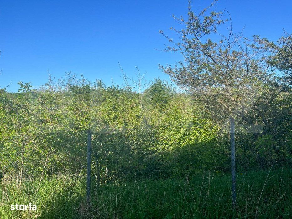 Teren intravilan ,cu vegetatie, 2700 mp, zona Siret