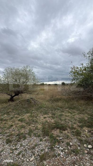 Teren de vanzare, 6.600 mp, zona Cornesti - Mihai Viteazu