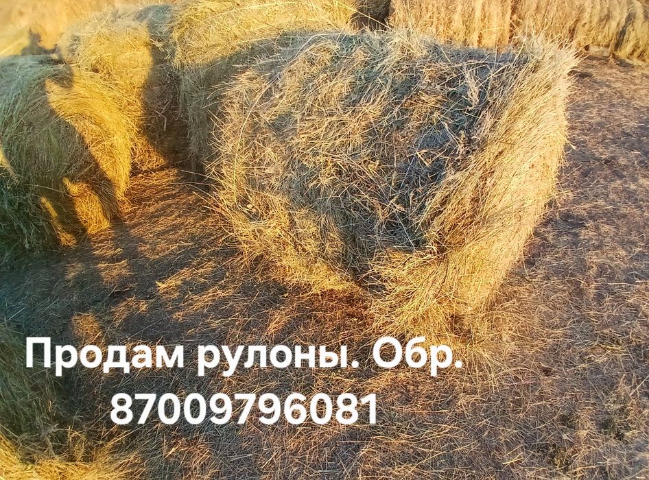Продам рулоны сено, разнотравие