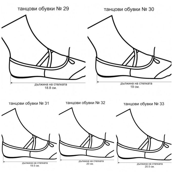 Танцови обувки (меки туфли) цвички