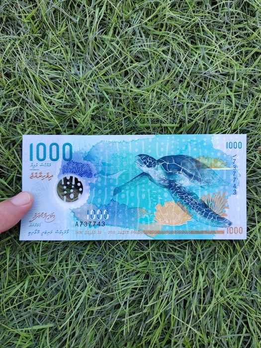 Купюра, банкнота 1000 мальдивских руфий