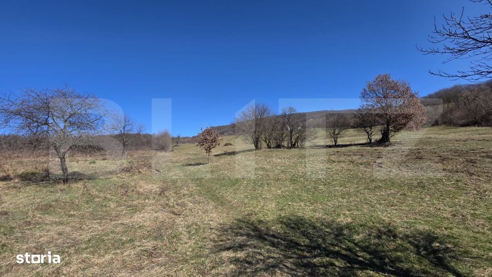 Teren de vanzare de 8,567MP in zona: Tarpiului