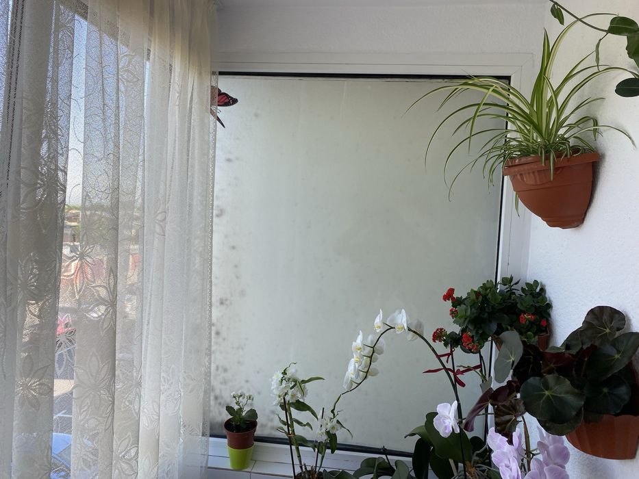 Ferestre cu geam termopan