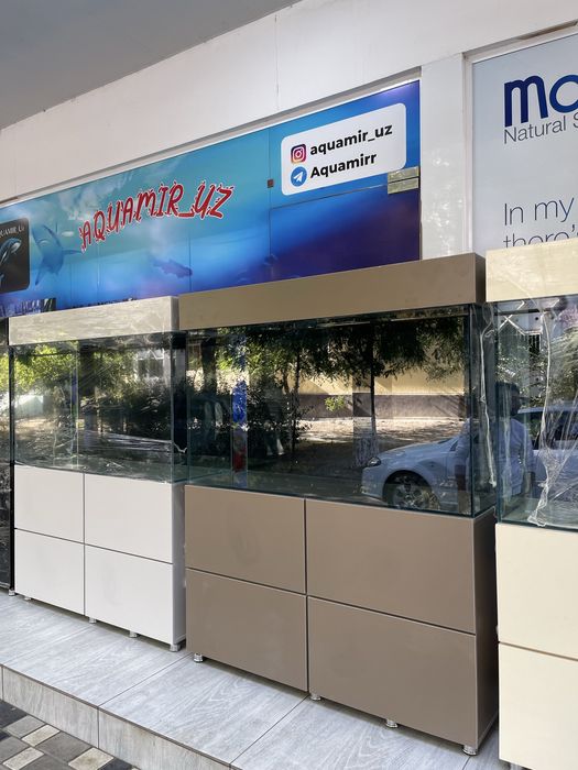 Akvarium yengi va sifatli alo darajada