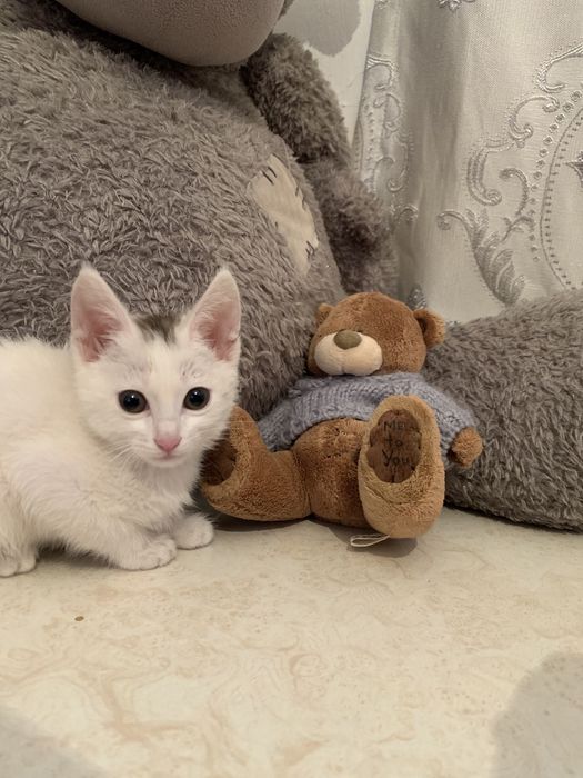 Хорошие руки!