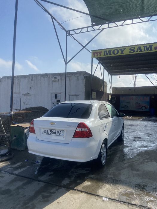 Мошина идеалный