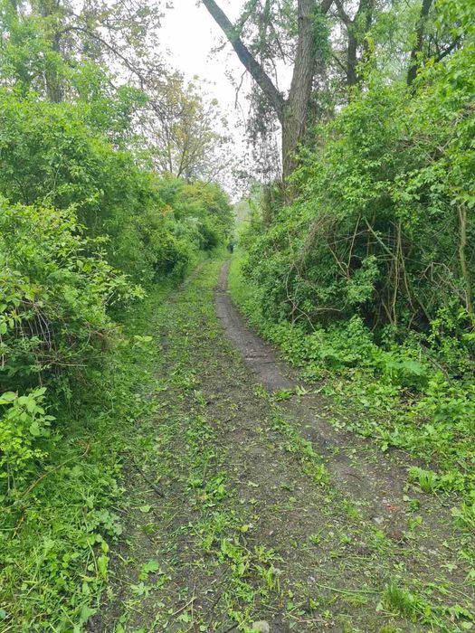 Продава се Парцел в с. Гоз, Област Перник - 648 кв.м за 10 €/кв.м - Снимка #3