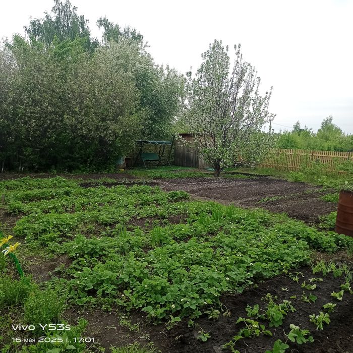 Продам дачу. С/ о "Дружба"