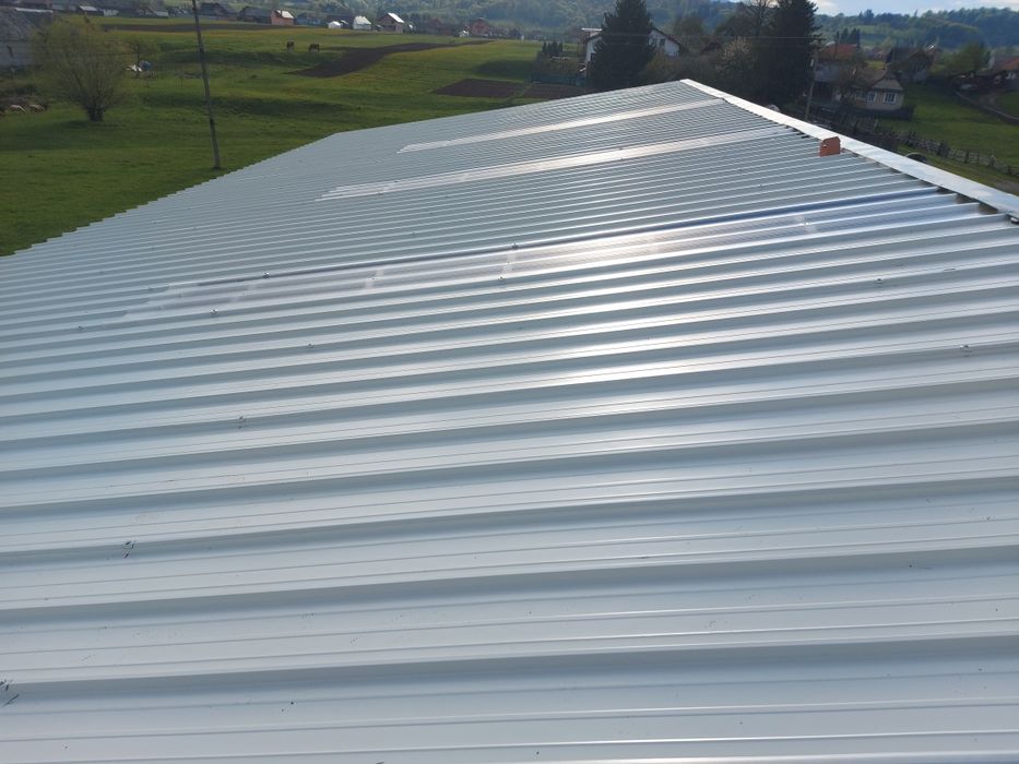 Vand hala metalica completa sau doar structura,