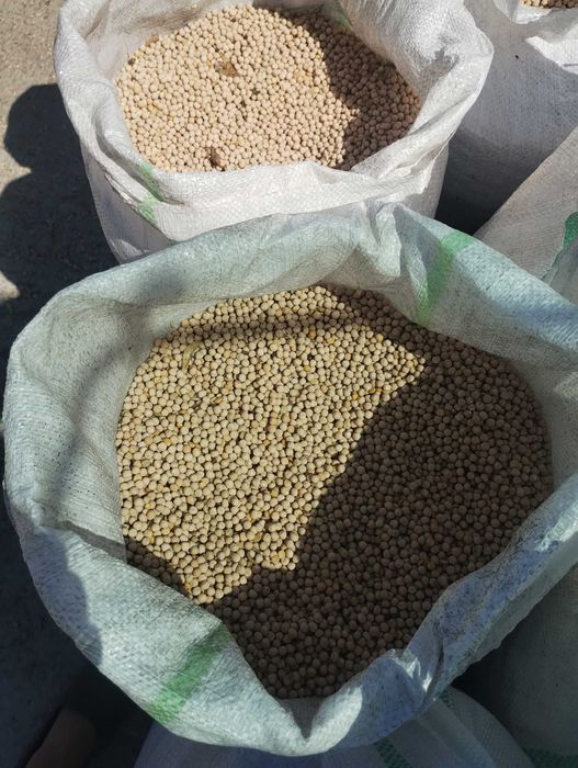 Mazăre furajeră de vânzare