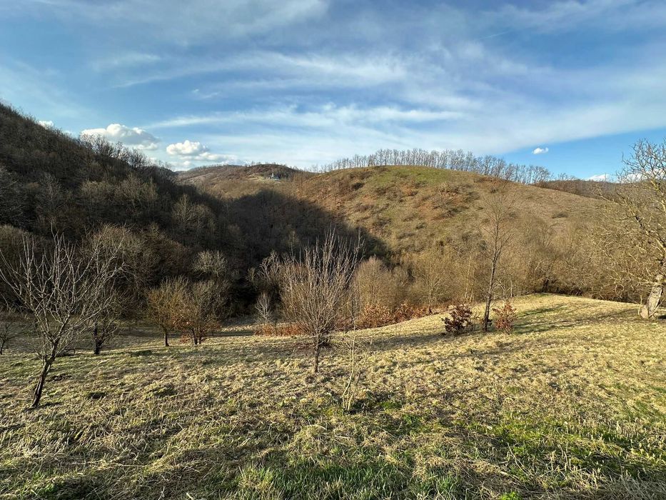 Vanzare teren in Judetul Hunedoara (cu casa)