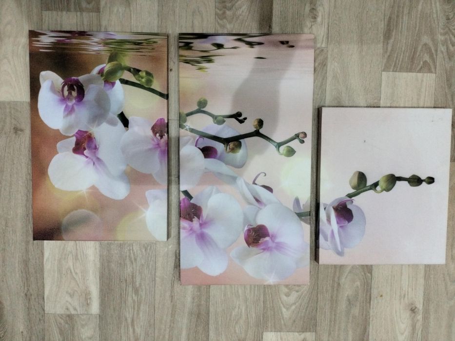 Продам  модульные картины